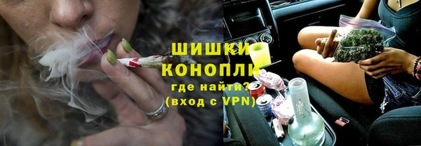 индика Кукмор